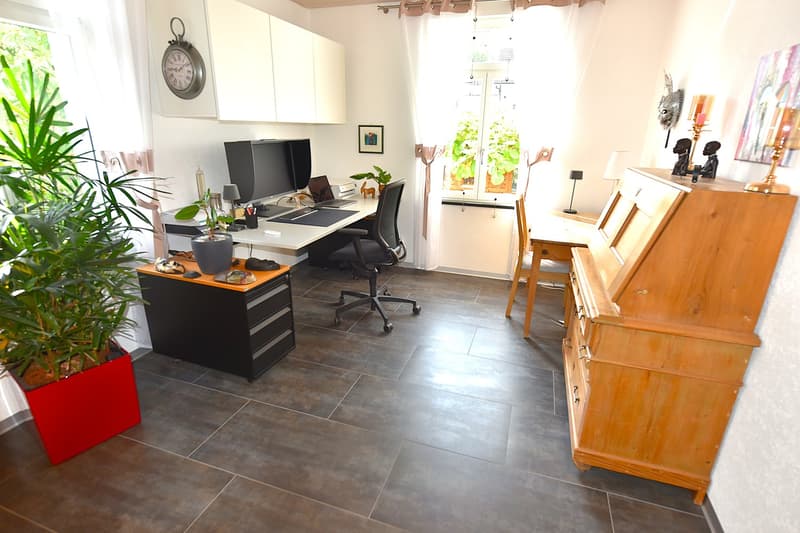 Home office: desk, computer monitors, laptop, clock, potted plants, cabinet, shelves, wooden chairs, piano