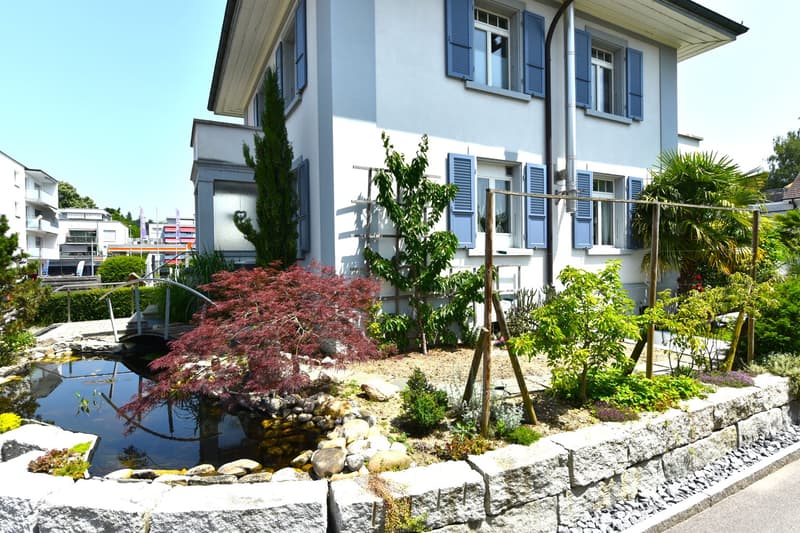 White house with blue shutters, garden with pond, stone fence, various plants