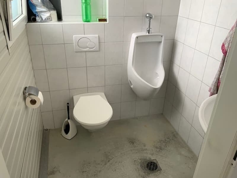 Spazi industriali e uffici ristrutturati in affitto a Murten (13)