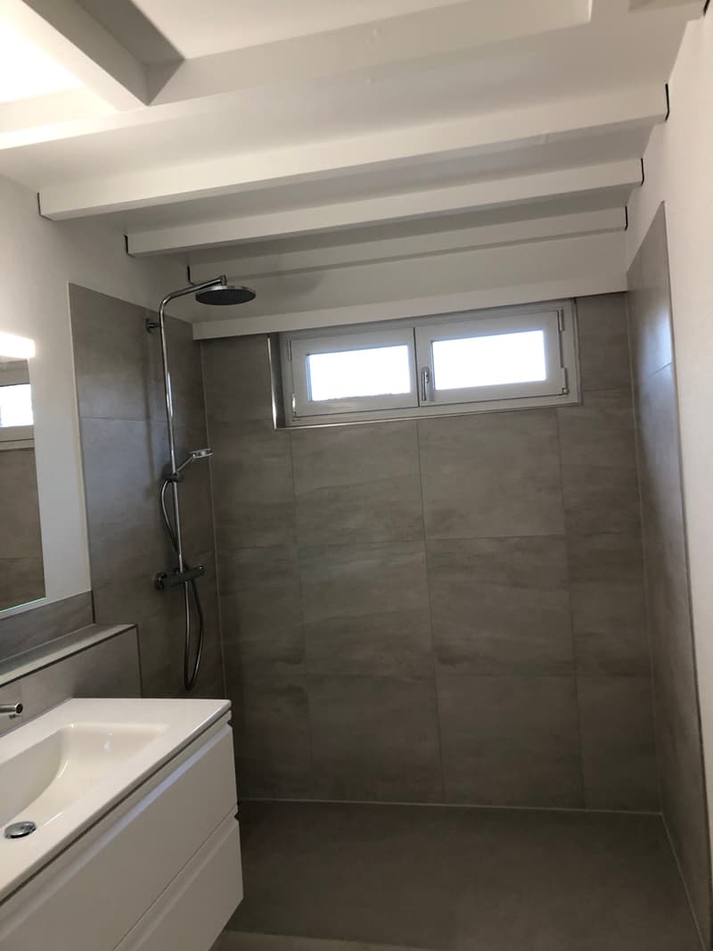 Teilsanierte und charmante Dachwohnung mit Balkon und Weitsicht (10)