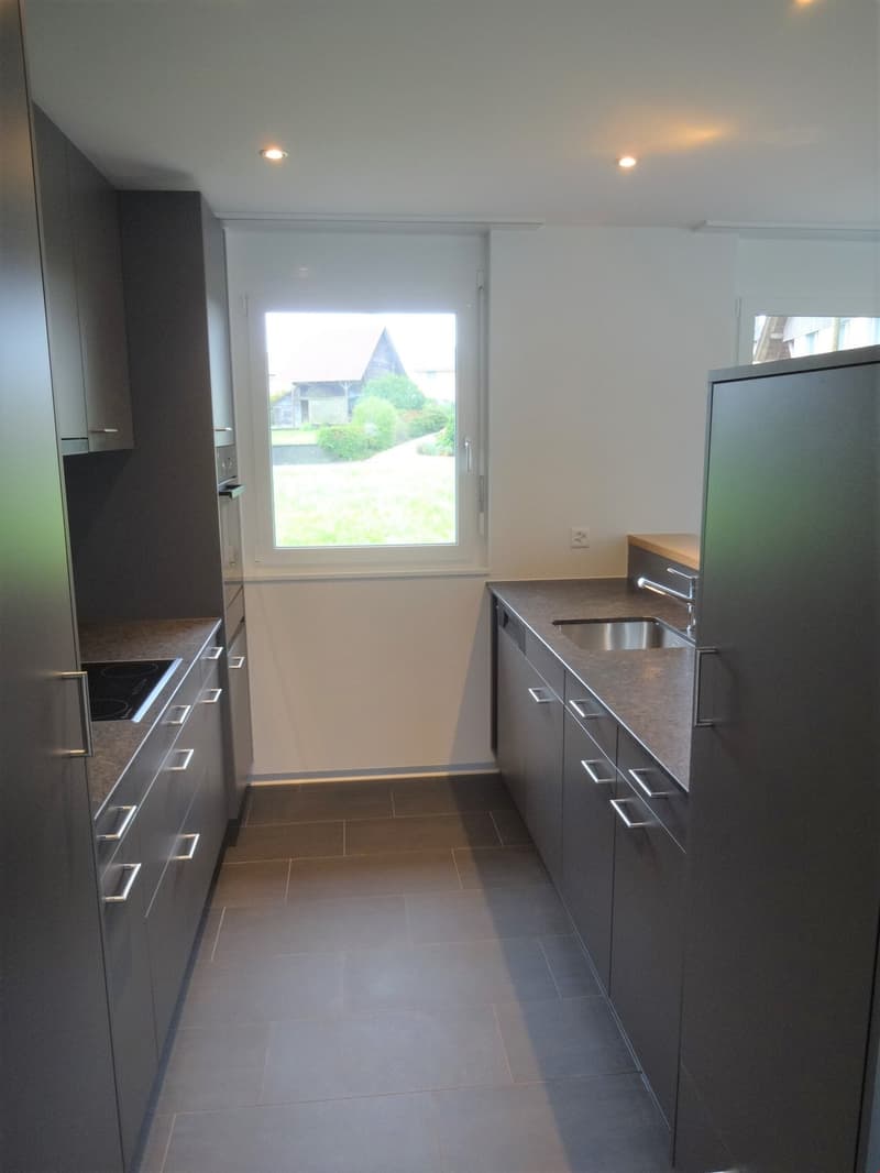 Moderne 4.5-Zimmerwohnung mit grosszügigem Balkon (3)