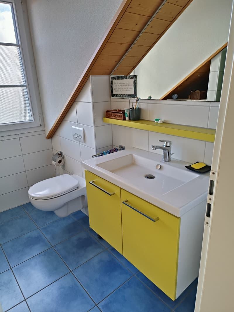 Helle 3 1/2-Zimmer-Dachwohnung mit Terrasse in Galmiz (9)