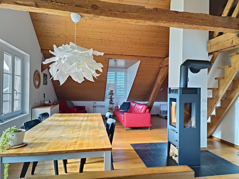 Helle 3 1/2-Zimmer-Dachwohnung mit Terrasse in Galmiz (1)