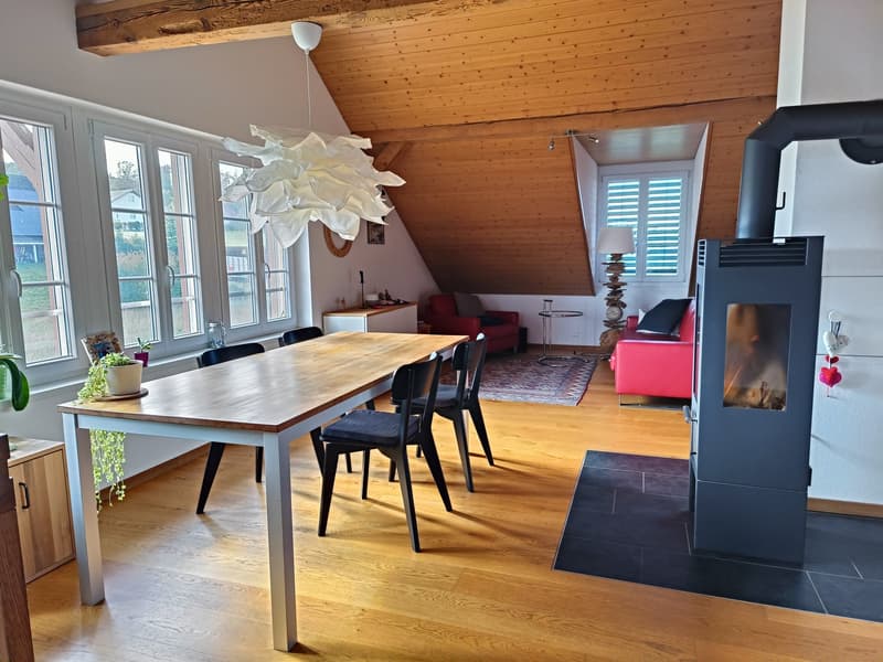 Helle 3 1/2-Zimmer-Dachwohnung mit Terrasse in Galmiz (2)