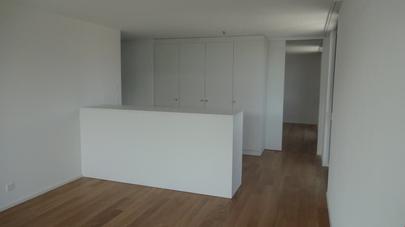 Exklusive Wohnung mit grosser Terrasse an zentraler Lage (10)
