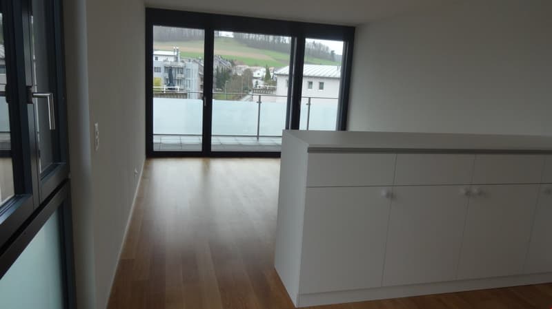 Exklusive Wohnung mit grosser Terrasse an zentraler Lage (11)