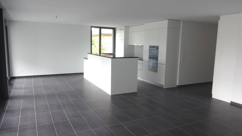 Moderne 4.5-Zimmerwohnung mit grosszügigem Grundriss (1)