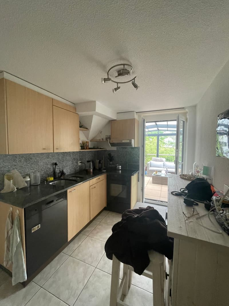 Charmante Dachwohnung mit grosszügiger Terrasse (6)