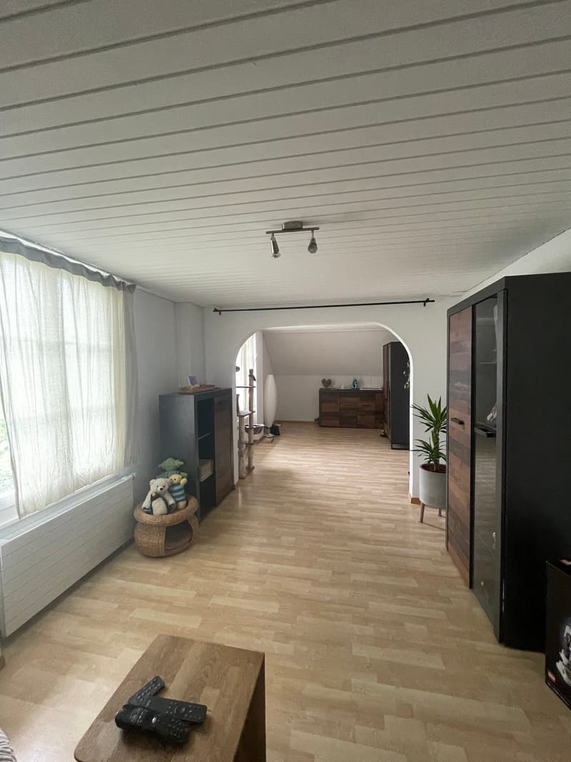 Charmante Dachwohnung mit grosszügiger Terrasse (5)