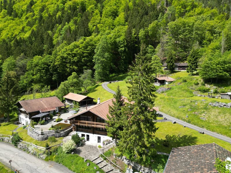 Bauland Reserve in der Nähe von Grindelwald! (1)