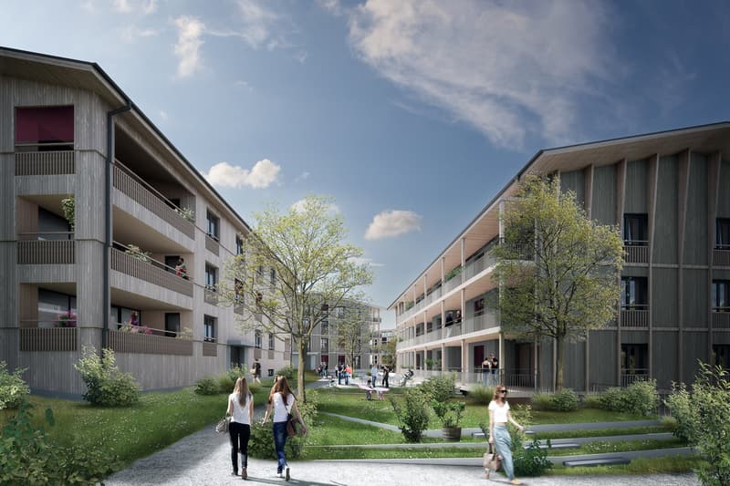 Modern apartment buildings with balconies, landscaped area with trees and grass, paved walkway