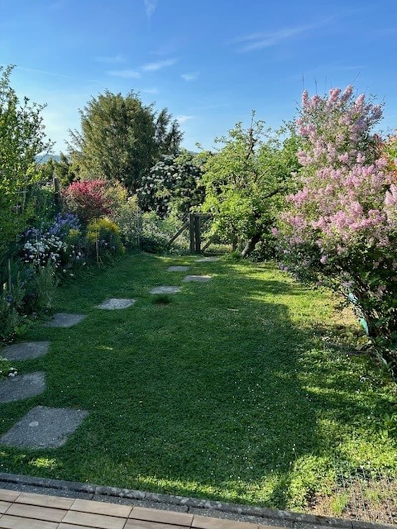 Klein aber fein! Der Garten mit Süd-Ausrichtung