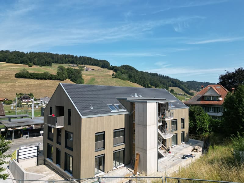 Gemütlicher Sitzplatz, grosse Wohnung! Bezug im Dezember 2026 möglich! Sie wählen den Innenausbau! (2)