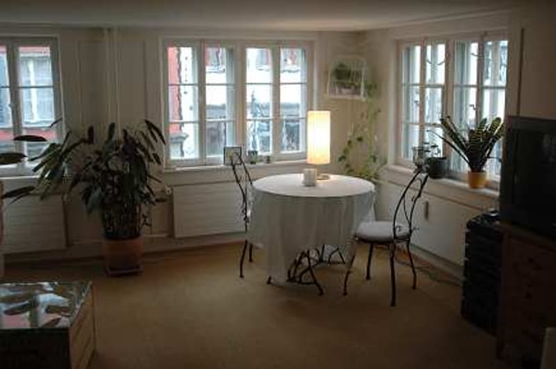 Charmante 4-Zimmer-Altbauwohnung mit Terasse in der Altstadt von St. Gallen (2)
