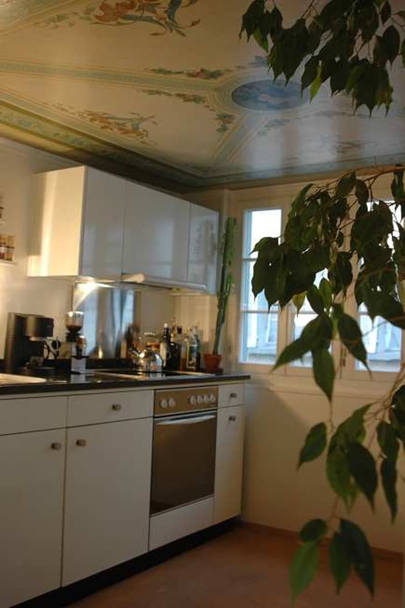 Charmante 4-Zimmer-Altbauwohnung mit Terasse in der Altstadt von St. Gallen (5)