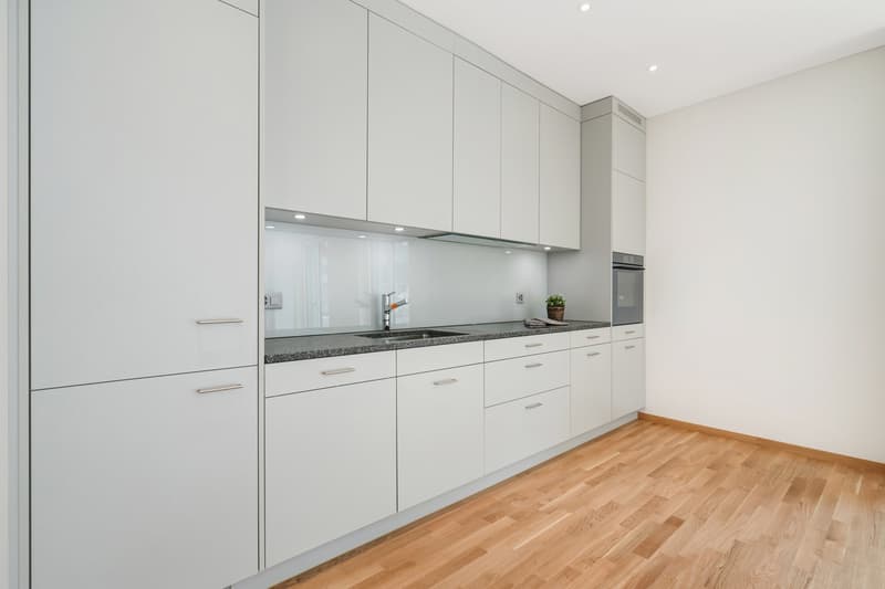 Moderne 2.5-Zimmer-Wohnung mit Balkon und Stadtblick in St. Gallen (2)
