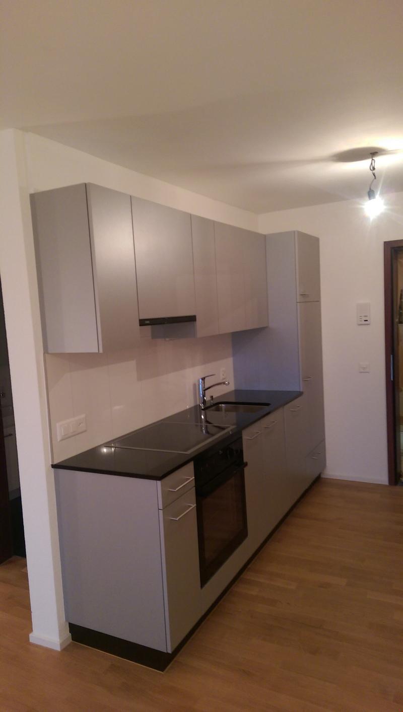 Renovierte 1-Zimmerwohnung (2)