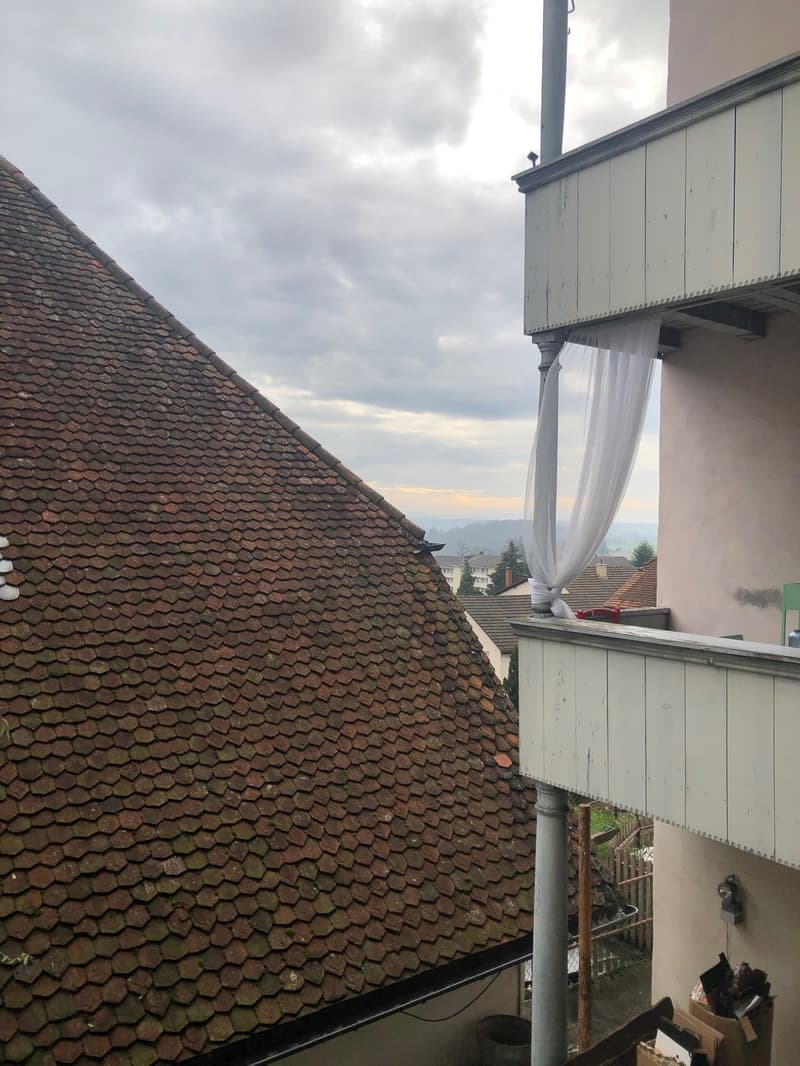 The house has a tiled roof and a small balcony with a white fence. In the background, there is a view of other houses and a cityscape.