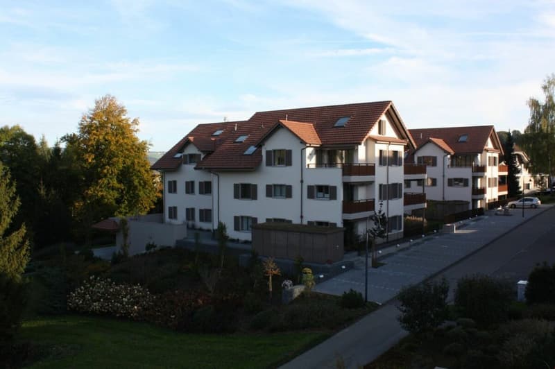 3 1/2-Zimmer-Wohnung, 1. OG (1)