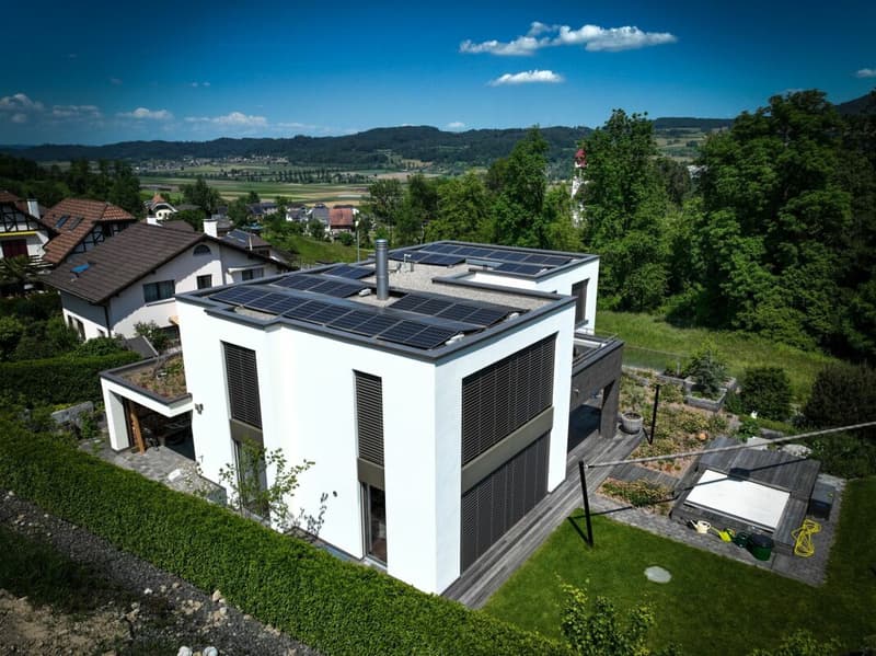 exlusive Villa mit Einliegerwohnung/Büro (3)