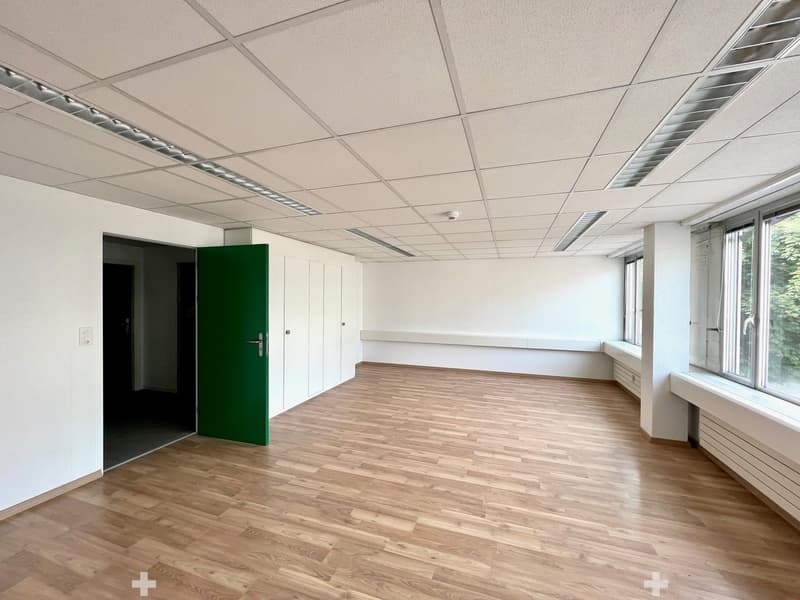 large, empty room with wooden floors, white walls, green door, large windows, benches