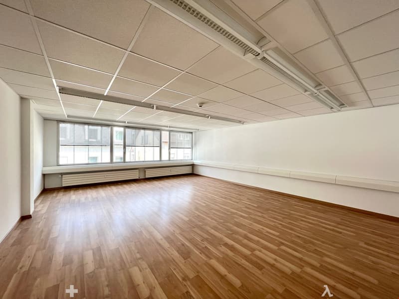Hardwood floor, large windows, ceiling-mounted fluorescent lights, white walls, large room.