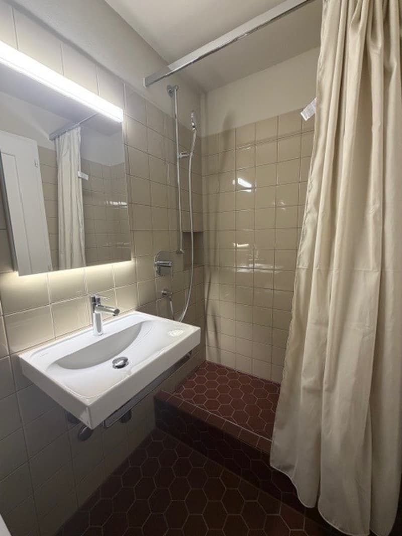 Living in Stedtli Nidau - partially renovated 1-room apartment (3)