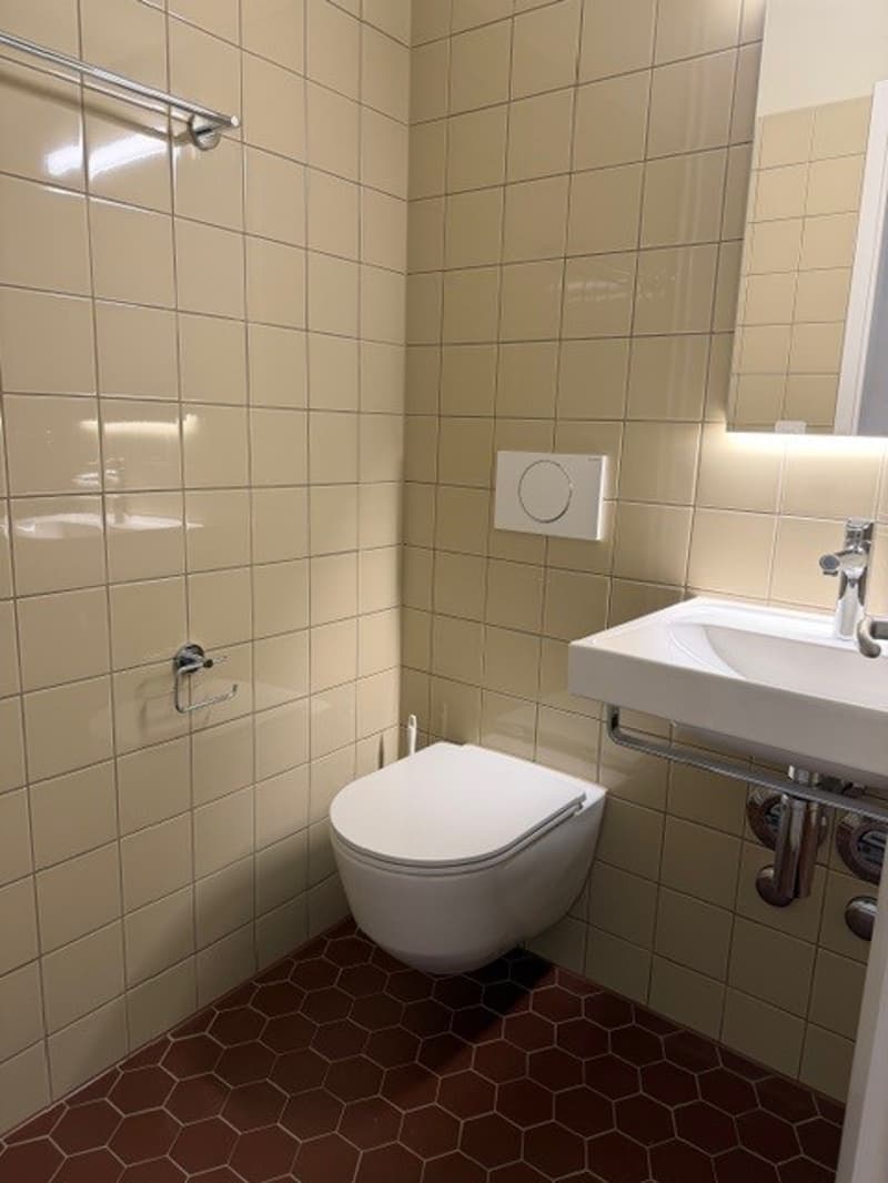 Living in Stedtli Nidau - partially renovated 1-room apartment (2)