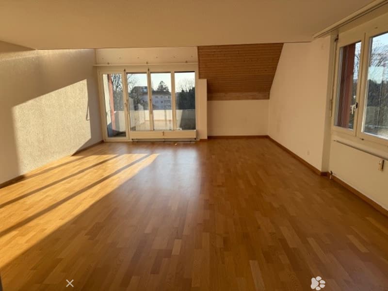 empty room, wooden floor, large windows, sliding glass doors, wooden ceiling