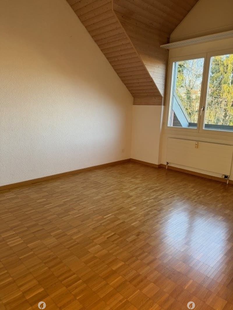 empty room, wooden floor, white walls, large window, wooden ceiling