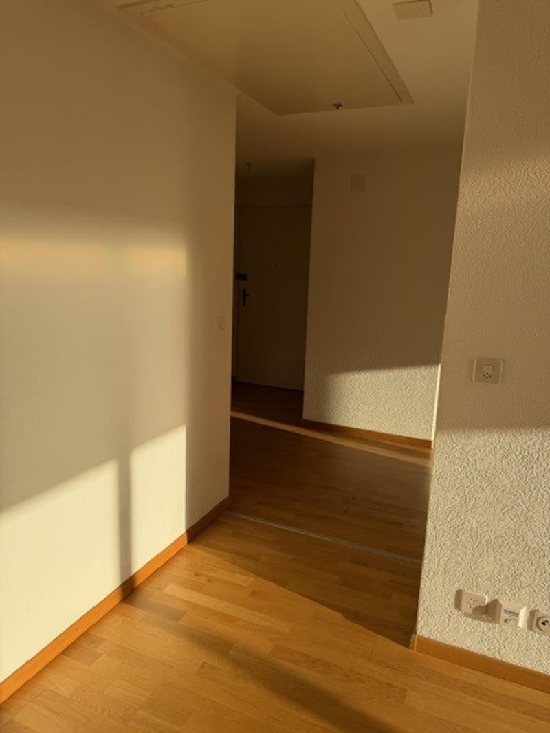 Empty room with wooden floor, white walls, and an open door leading to another room.