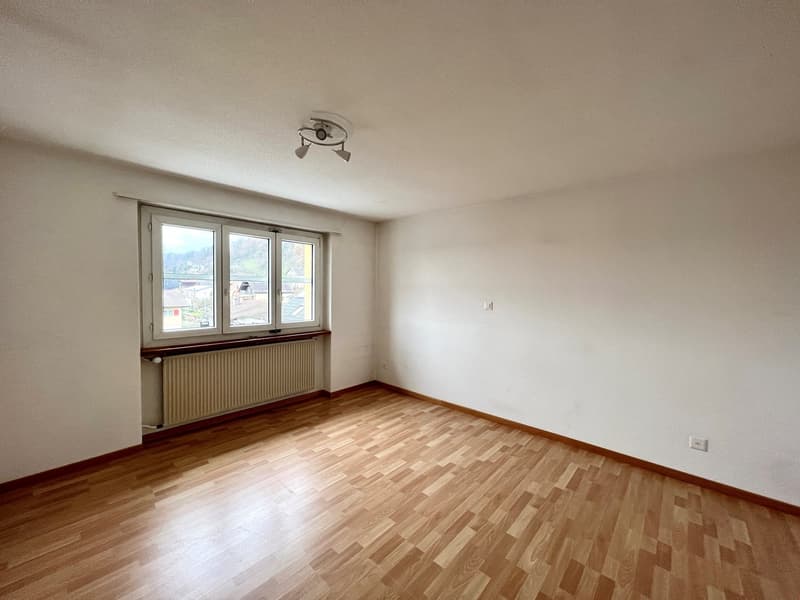 Appartement 2 pièces rénové dans un quartier calme de maisons unifamiliales (5)