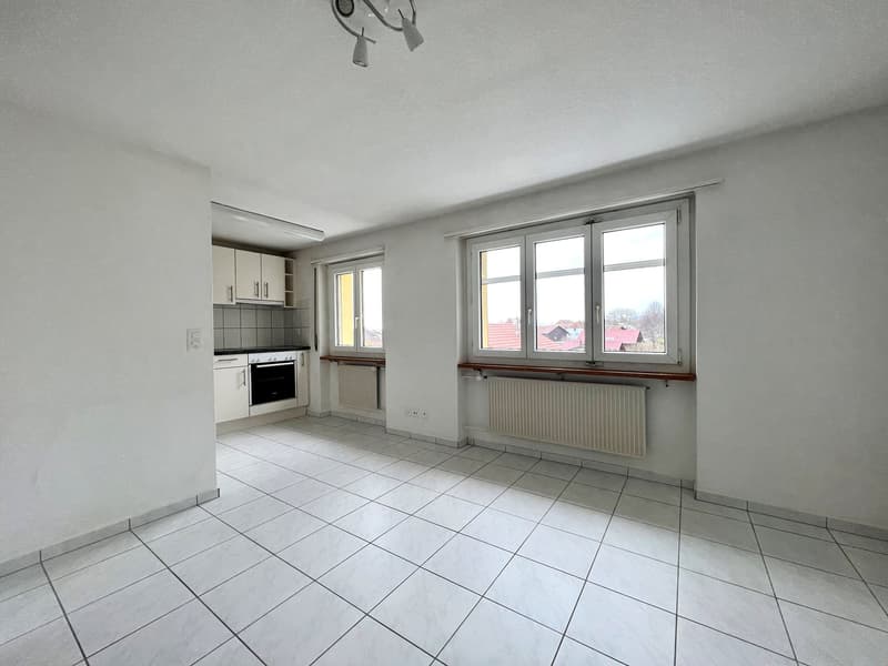 Appartement 2 pièces rénové dans un quartier calme de maisons unifamiliales (3)