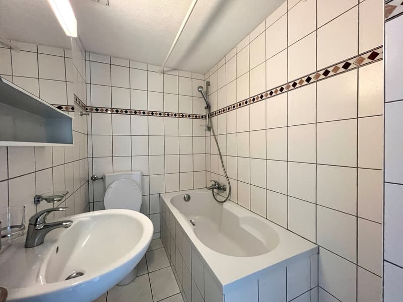 Appartement 2 pièces rénové dans un quartier calme de maisons unifamiliales (6)