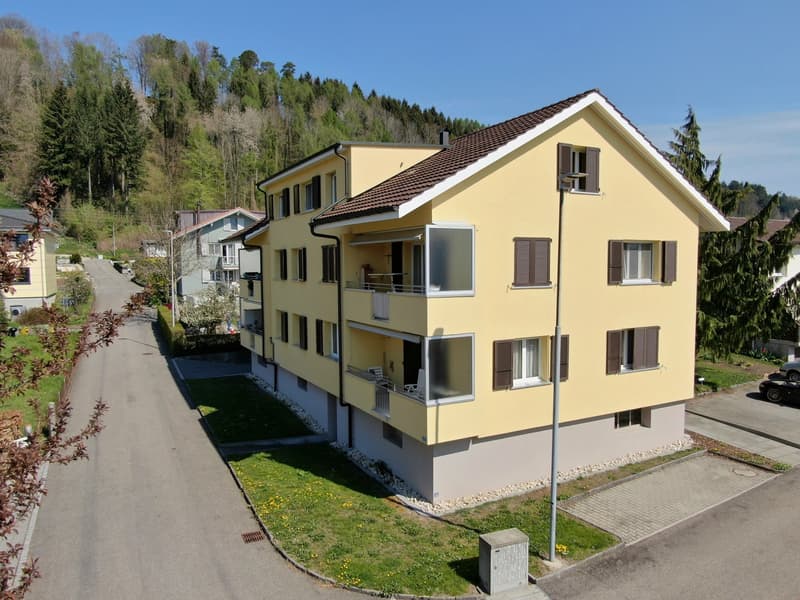 Appartement 2 pièces rénové dans un quartier calme de maisons unifamiliales (1)
