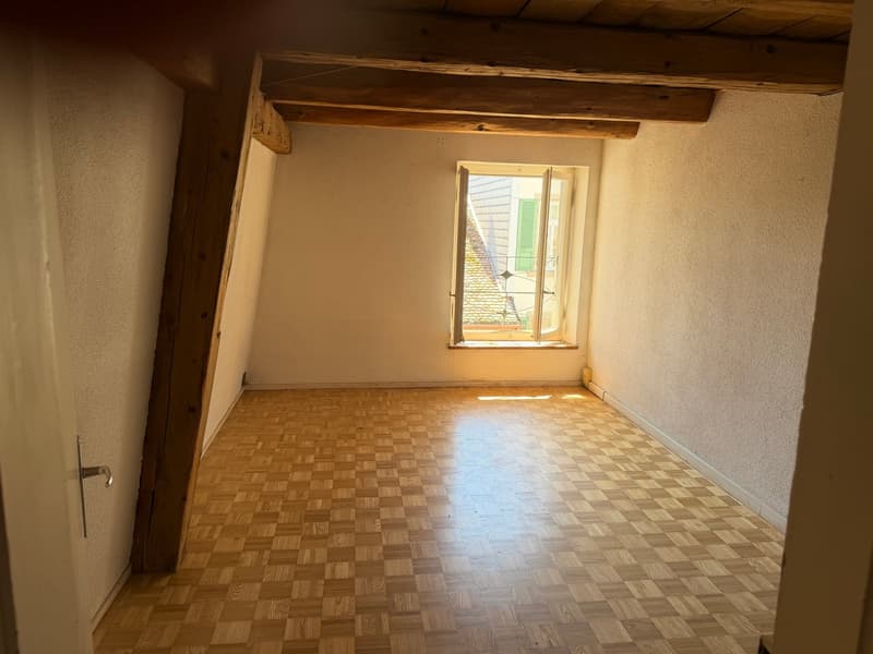 Appartement spacieux et charmant de 3,5 pièces dans le centre-ville (6)