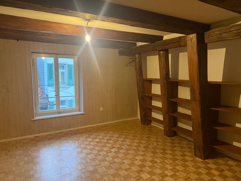 Appartement spacieux et charmant de 3,5 pièces dans le centre-ville (5)