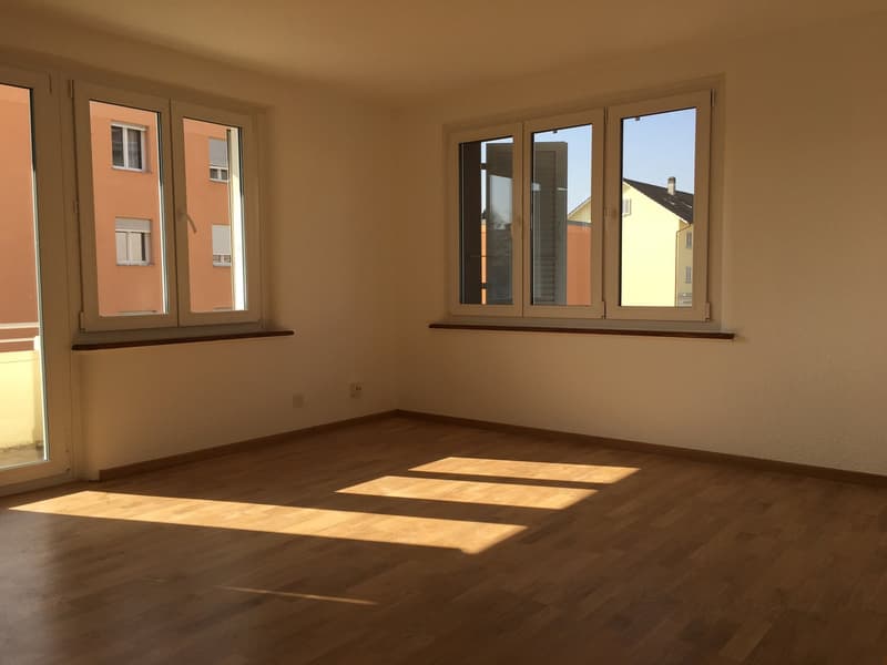 3.5-room apartment on the 1st floor near the train station (3)