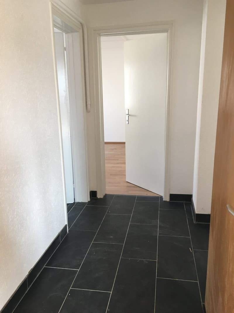 3.5-room apartment on the 1st floor near the train station (6)