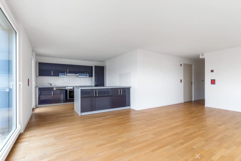 4.5 Zimmer Attika-Wohnung mit Panoramablick (4)