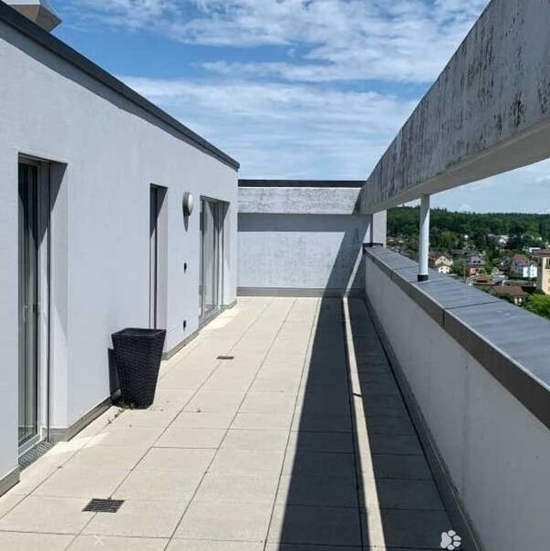 4.5 Zimmer Attika-Wohnung mit Panoramablick (2)