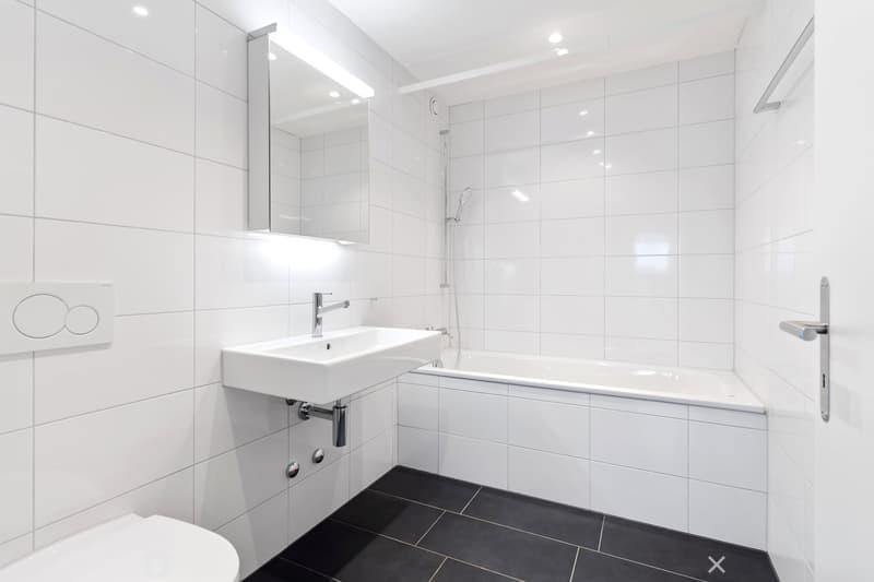4.5 Zimmer Attika-Wohnung mit Panoramablick (7)