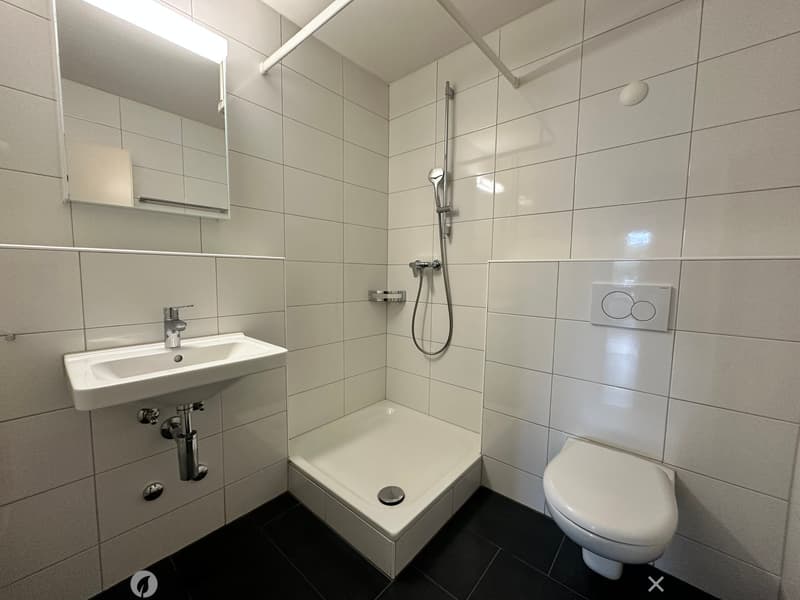 Moderne 2.5 Zimmerwohnungen an zentraler Lage (6)