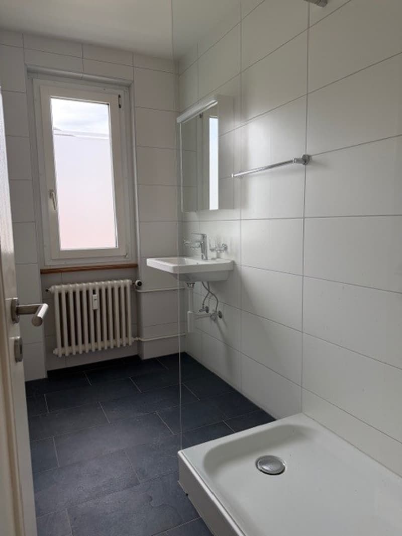 Charming 4-room old building apartment with balcony and lake view in Biel (9)