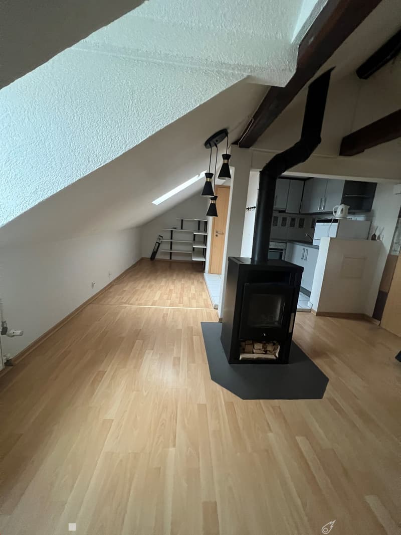 1-Zimmerwohnung im Dachgeschoss (4)