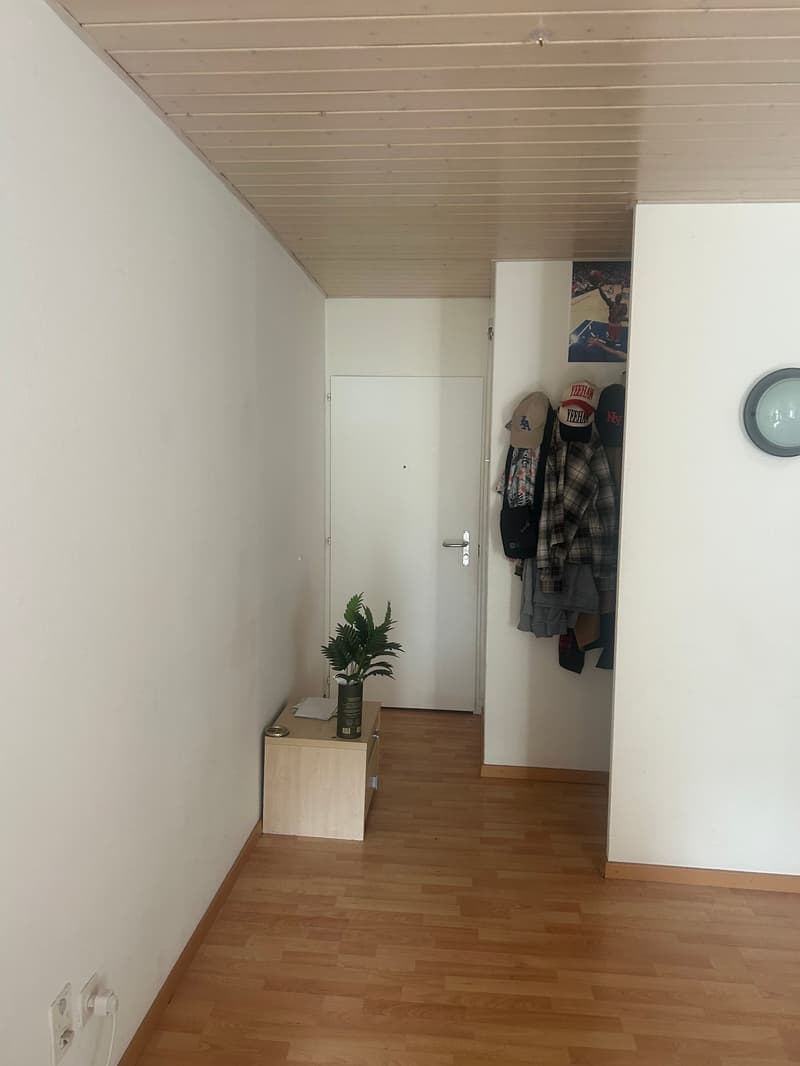IDEALE per studenti - Vivere sulla via dello shopping della città di Biel (6)