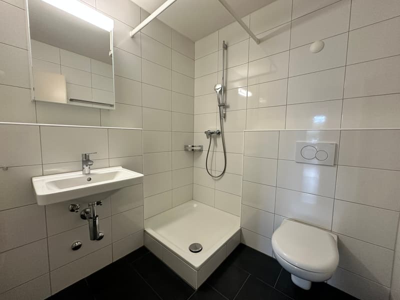 Moderne 2.5 Zimmerwohnungen an zentraler Lage (4)