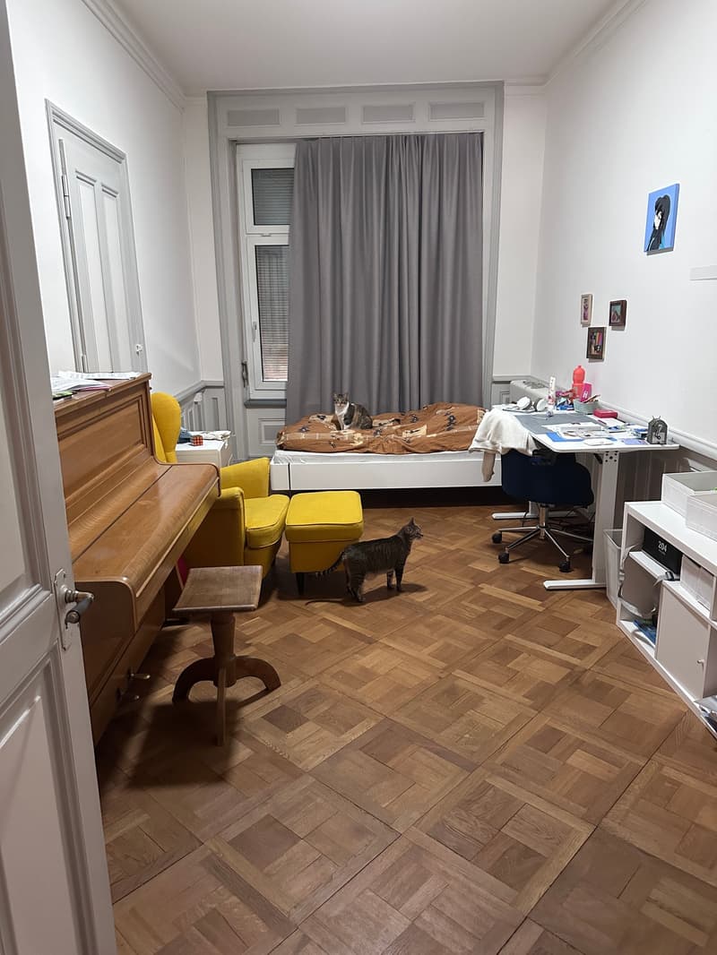 Appartamento di charme di 3,5 locali in un edificio storico nel cuore di Biel - direttamente sulla via dello shopping (10)