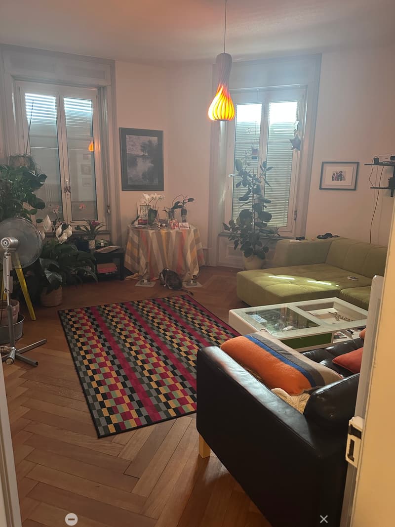 Stillvolle 5.5-Zimmer-Altbauwohnung im Herzen von Biel - direkt bei der Einkaufsmeile (5)