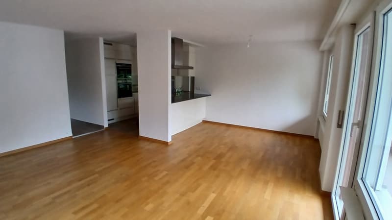 Charmant appartement de 3,5 pièces près du lac (7)